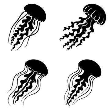 Black jellyfish shapes present a striking vector silhouette