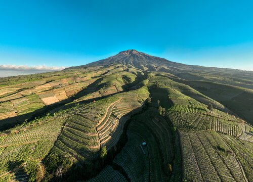 Aerial view of Glapansari Tobacco Plantation with terraced fields on the mountain slope under a clear blue sky in Parakan, Central Java, Indonesia.
