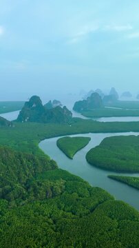 Vertical video,Aerial view green mangrove forest and river flowing at Phang Nga Bay with mountains in Thailand.