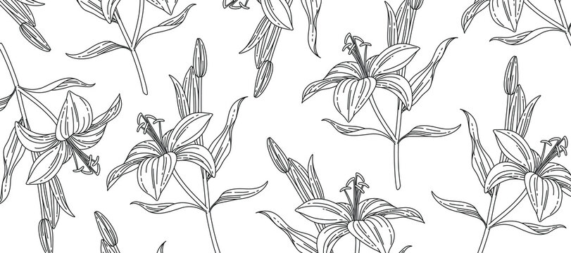 Hand-drawn lily flower line art pattern in black and white, ideal for fabric, stationery, wrapping paper, packaging, invitations, coloring pages and decorative designs.