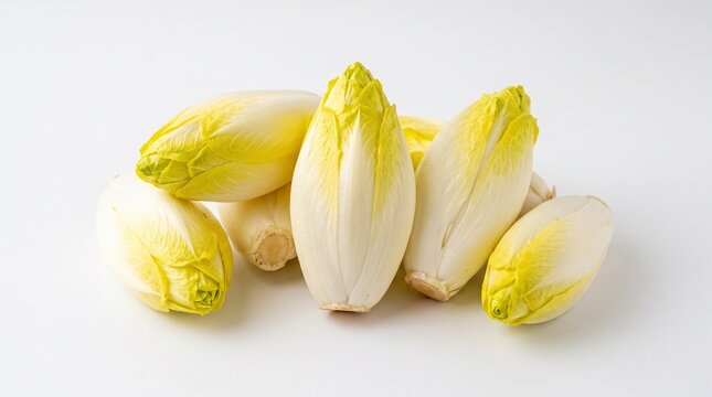 Fresh Belgian endive