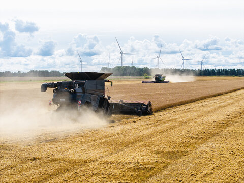 Aerial view of combine harvesters working in a golden wheat field with wind turbines in the background and dust rising in Targale parish, Ventspils Municipality, Latvia.