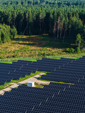 Aerial view of solar panels arranged in rows within a green field bordered by a dense forest in Targale, Ventspils Municipality, Latvia.