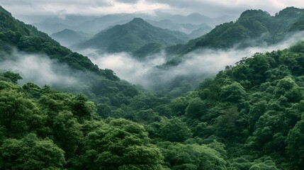 Obraz premium Lush green mountains covered in misty clouds during a peaceful morning. Nature background for eco-friendly travel and environmental conservation themes.
