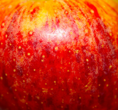 Close up of a ripe red apple. Natural healthy snack close up.