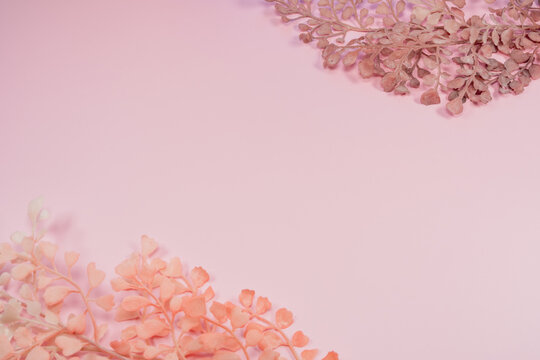 Soft solid pink background with pink dried leaves in the corners, providing plenty of copy space.