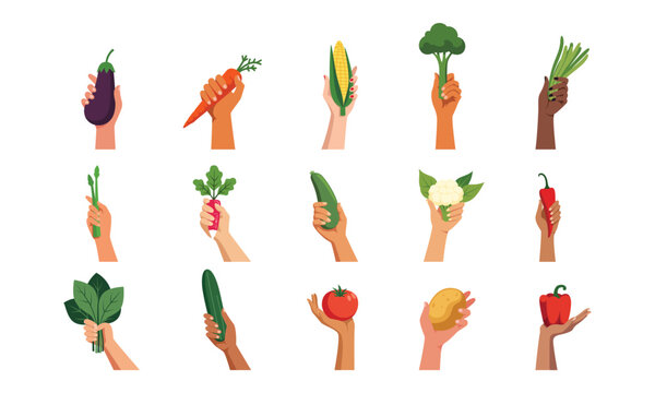 Hand holding vegetables vector graphic collection