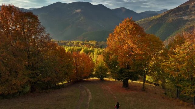 Mother and two children walking in impressive autumn landscape, vibrant autumn forest beneath a mountain skyline
