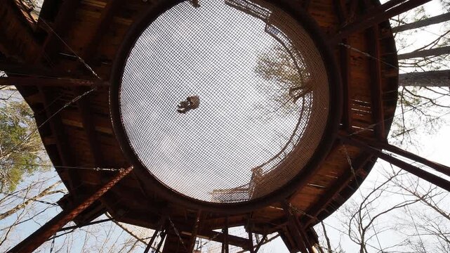 View from inside wooden treehouse with mesh roof.