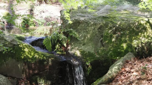 Small stream flowing over mossy rocks in forest.