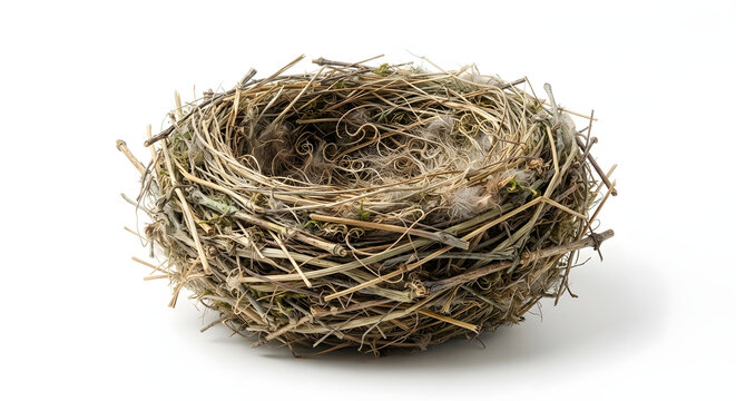 Wild Woven Twig Bird Nest Empty Isolated