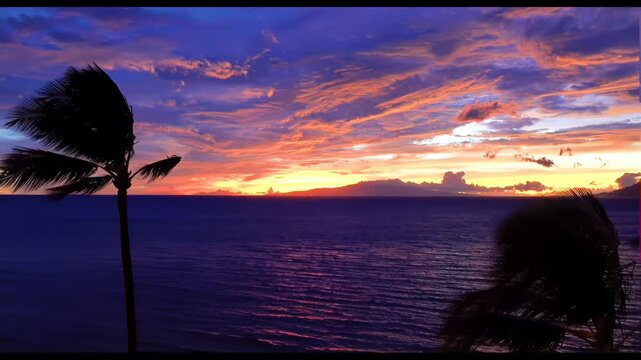Vibrant Tropical Sunset Over Pacific Ocean with Silhouetted Palm Trees in Hawaii