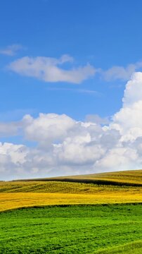 Time-lapse of rolling green and golden fields under a dynamic blue sky with moving cumulus clouds