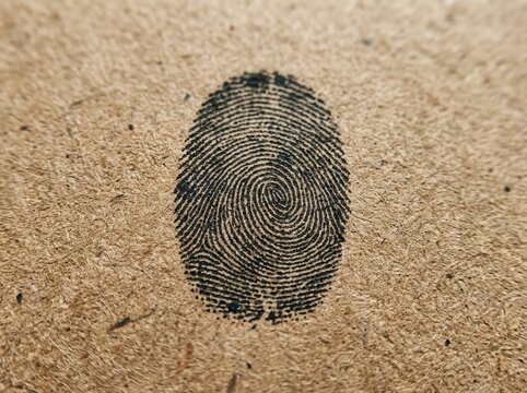 Unique Fingerprint Identity Macro Detail On Textured Surface Background