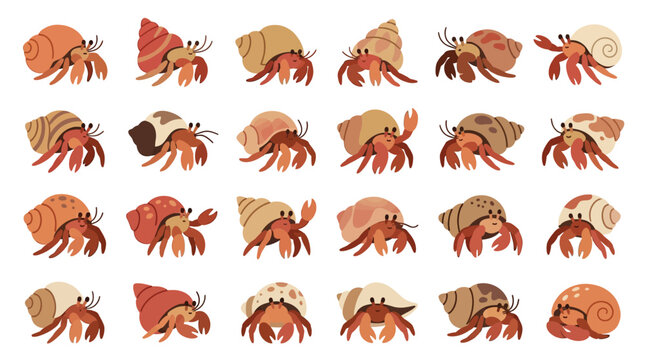 Collection of cute cartoon hermit crabs with various shells isolated on white background.