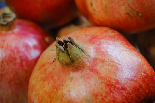 Juicy Red Pomegranates Ready for Harvesting