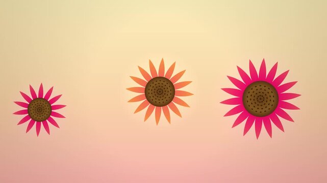 Floral daisy graphic shapes arranged horizontally on a soft gradient background loop.
