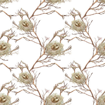 Watercolor Easter seamless pattern with nest and egg on the branches of a tree on white background. Bird house made of twigs. Spring decor for celebration card. Mother's day. Wallpaper or wrapping