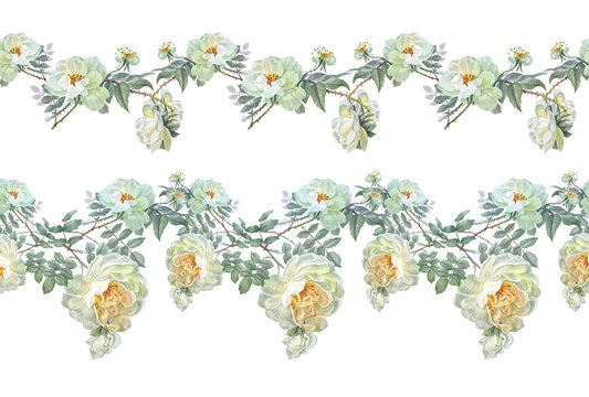 Watercolor set with seamless border with flower dog rose on white background. Hand-drawn summer branch with green leaves and wild rose hip. Botanical sticker for tea. Wallpaper wrapping kitchen rim