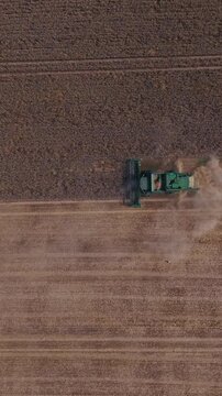 Vertical screen. Agricultural machinery operates in a large field, cutting and collecting crops while dust rises, illustrating the harvesting process in an open landscape