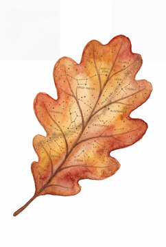 Oak_Leaf_Star_Map.svg