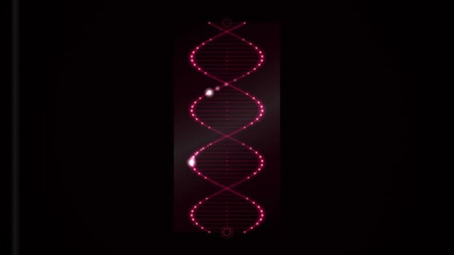 Glowing pink dna helix animation serves as a looping abstract background for digital overlays.