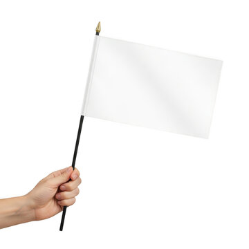 A hand holding a small blank white flag on a black stick