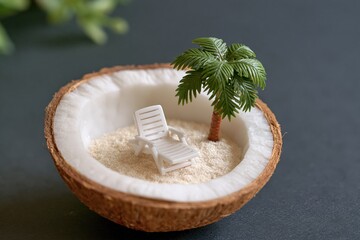 Obraz premium Miniature beach diorama inside coconut shell with chair