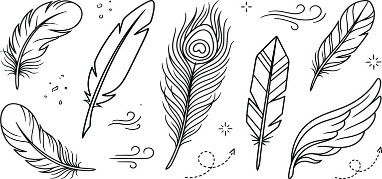 Bird feather and peacock quill line art vector illustration elements set including decorative wings boho outline doodle graphics