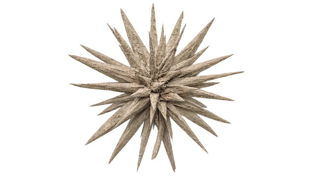 Fine Thin Needle Spike Starburst with Radiating Sharp Paper Points