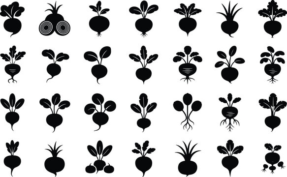 Black silhouette radish beets vector set, fresh healthy food root vegetables icon collection