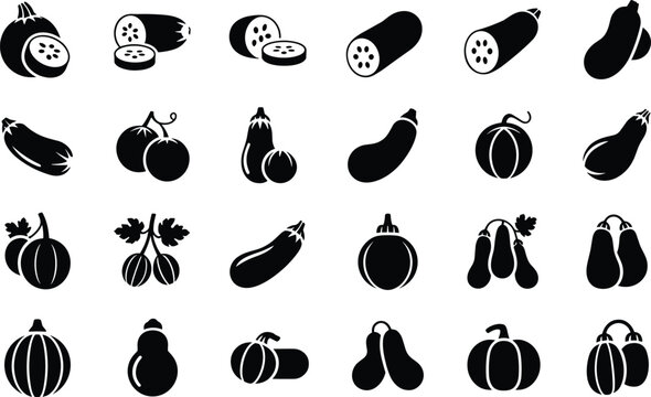 Zucchini squash icons collection featuring marrow silhouettes for garden produce graphics