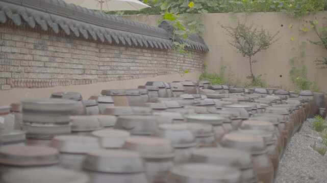 장독대 독 항아리 한국전통 전통 장 발효식품 발효 기와담장 흙담 고택 정원 시골 감성 조용함 전통문화 향토 풍경 한국적 야외 정성 장류 된장 간장 고추장 옹기 정경