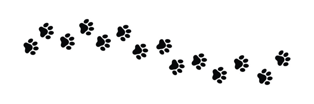 Paw print of dog isolated on transparent background. cat paw print. cat walk foot print. Paw print of dog vector illustration eps 10