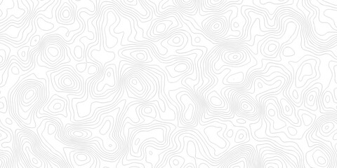 Abstract grid landscape topography white background. white and black relief line wireframe isoline location diagram world map texture design.   © MOHAMMAD