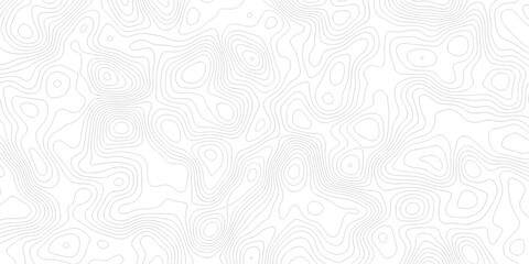 Abstract grid landscape topography white background. white and black relief line wireframe isoline location diagram world map texture design.   © MOHAMMAD