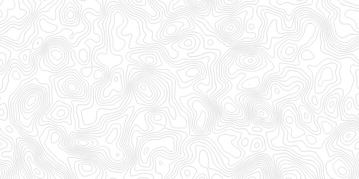 Abstract grid landscape topography white background. white and black relief line wireframe isoline location diagram world map texture design.	
