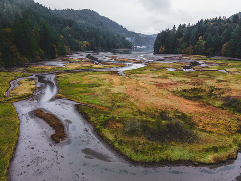 Ocean Marsh