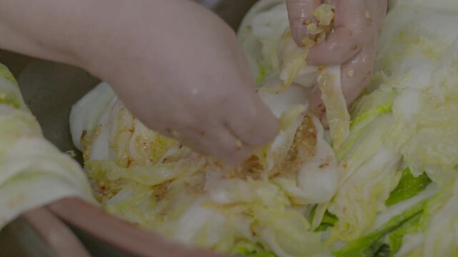 김장 김치 백김치 전통 한식 배추 절임배추 양념 소 김장철 발효식품 발효 전통음식 한국음식 식재료 반찬 유네스코인류무형문화유산 김장문화 손맛 정성 가정식 항아리 옹기