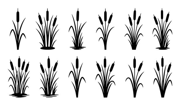 Black silhouette cattail and slender reed grass clusters, minimal wetland plant icon set