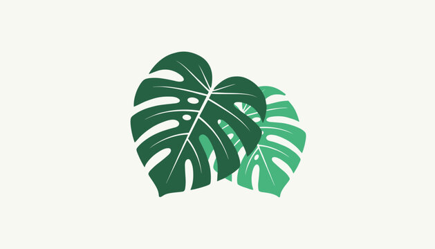 Two beautiful monstera leaves overlapping each other in dark green and mint green colors on cream backdrop.