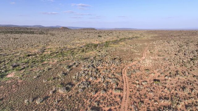 Aerial view of landscape 