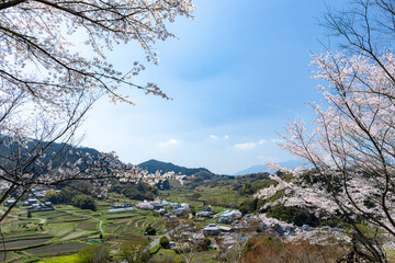 明日香村の丘からみはらす日本の原風景 © Masatoshi Kaneko