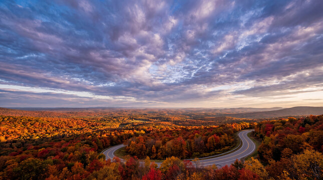 An elevated view captures an empty road crossing a valley blazing with autumn forest colors beneath a dramatic sky for landscape banner content.