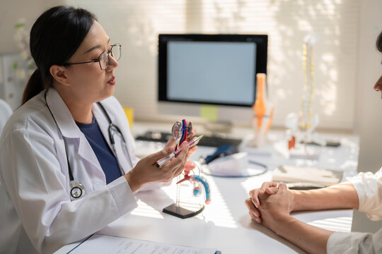 Close-Up of Female Doctor Holding Anatomical Heart Model During Patient Consultation