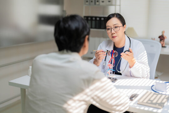 Asian Female Doctor Explaining Kidney and Urinary System Model to Patient in Office
