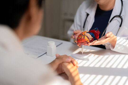Close-Up of Female Doctor Holding Anatomical Heart Model During Patient Consultation