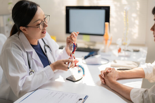 Close-Up of Female Doctor Holding Anatomical Heart Model During Patient Consultation