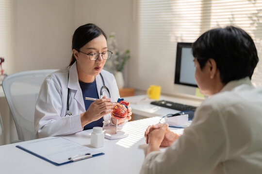 Close-Up of Female Doctor Holding Anatomical Heart Model During Patient Consultation