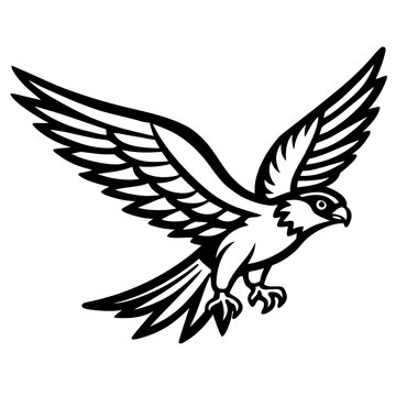 eagle vector illustration